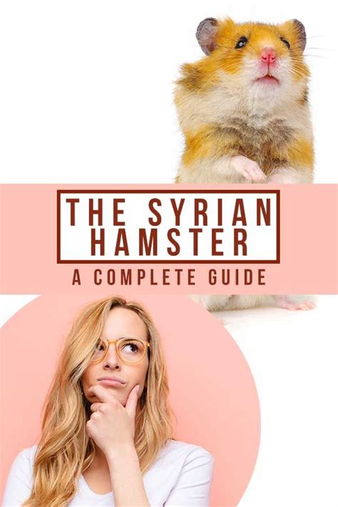 Syrian Hamsters: A Complete Guide to Care and Ownership.